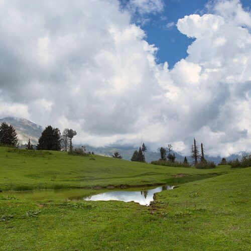 Alyssa Paldi: The Mystery Name Behind a Modern Internet Phenomenon