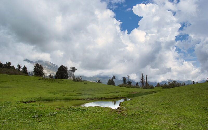 Alyssa Paldi: The Mystery Name Behind a Modern Internet Phenomenon